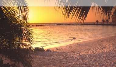Sonnenuntergang an einem Strand auf Aruba