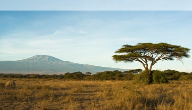Blick aus Kenia auf den Kilimanjaro im benachbarten Tansania