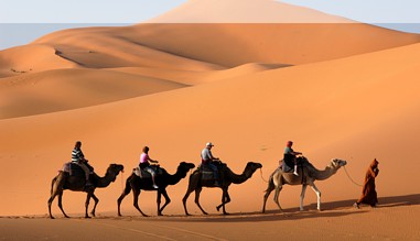 Kamel Karawana in der Sahara in Marokko