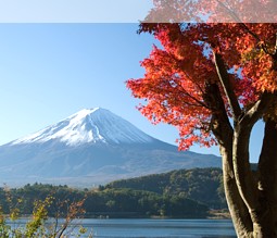 Der heilige Berg Japans - der Fuji - im Herbst